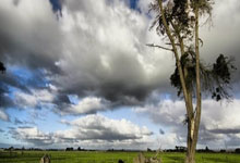 黑白体育:说了些啥?澳波赛后跟球迷争论,随后被特尔等人拉走.