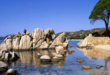 黑白体育:国足最大水货确定,球迷建议直接离队,伊万科维奇不手软.